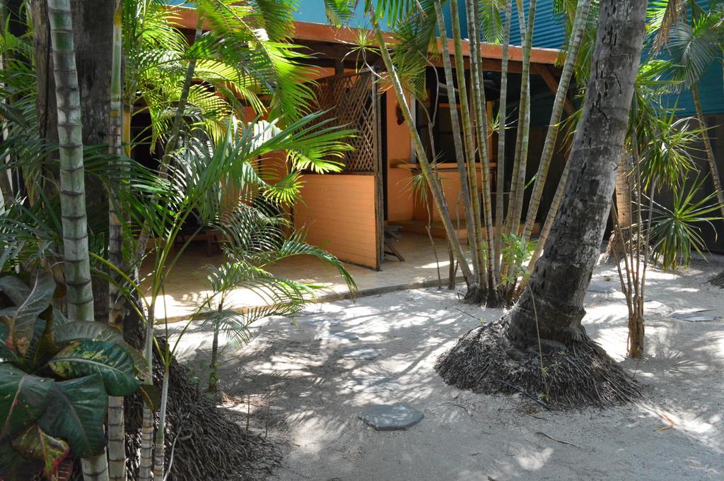 Maison d'hôtes La Palapa à Tamarindo Extérieur photo